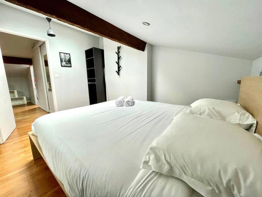 Le Charmeur - Appartement Climatise Avec 2 Chambres - Hypercentre Toulouse Exterior photo